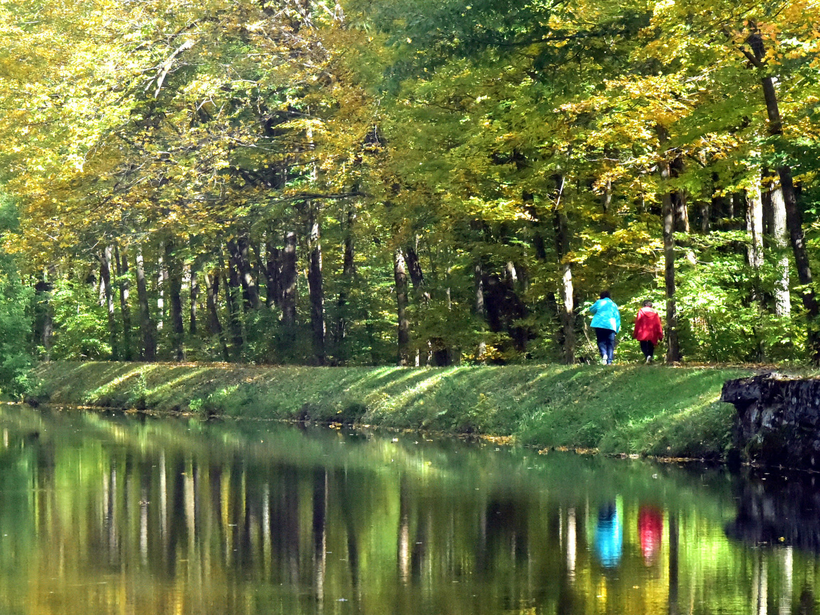 Fall foliage